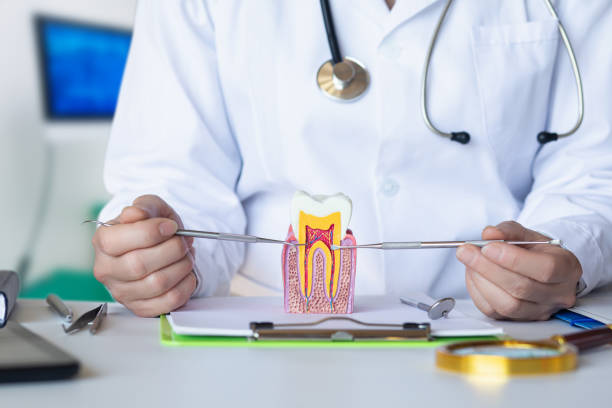 Best Weekend Emergency Dentist in Carrollton, MO